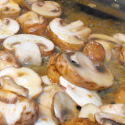 ����� � ����� ����