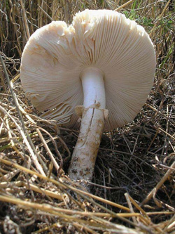 Первый летний отчет