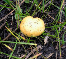 Еще не вечер