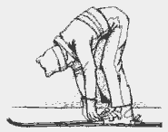     ( 2)