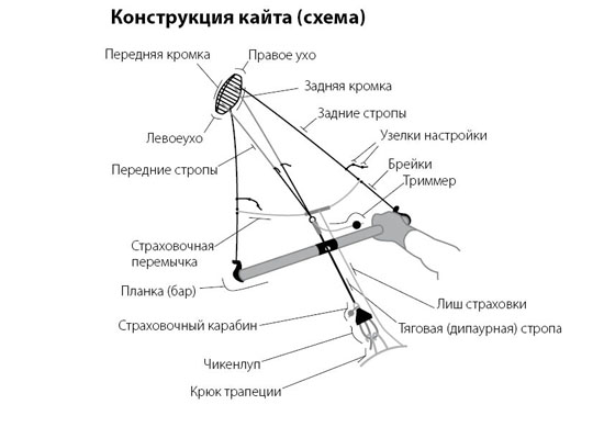 Чертежи кайта своими руками Чертежи кайта своими руками