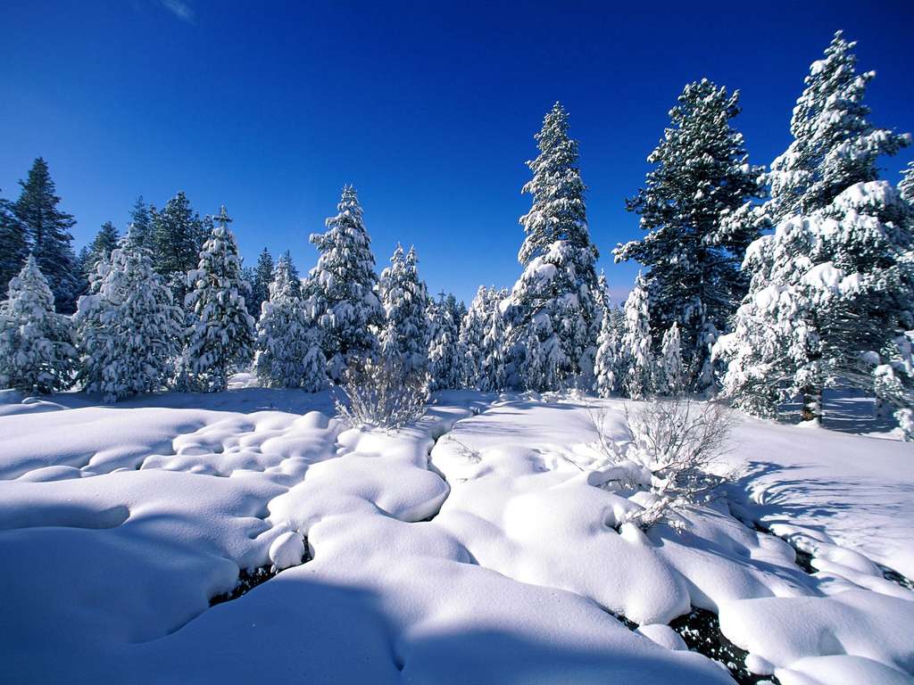 зима природа
