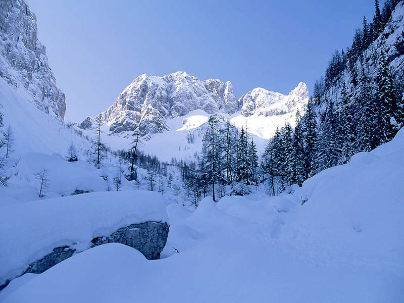 Фотообои зимней природы