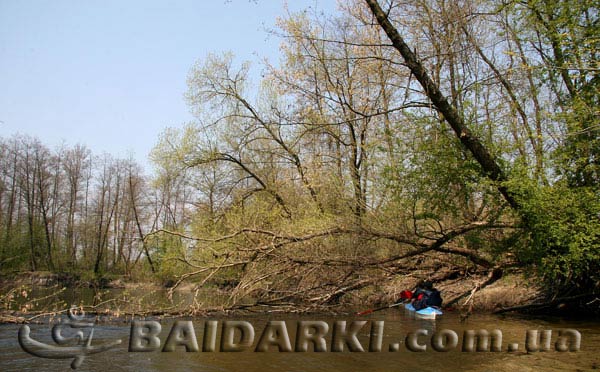 Сплав на байдарках по Ворскле