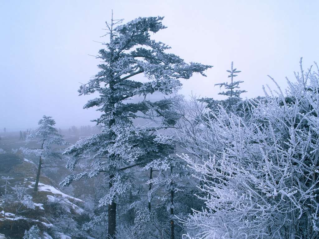 Удивительная зима в Китае