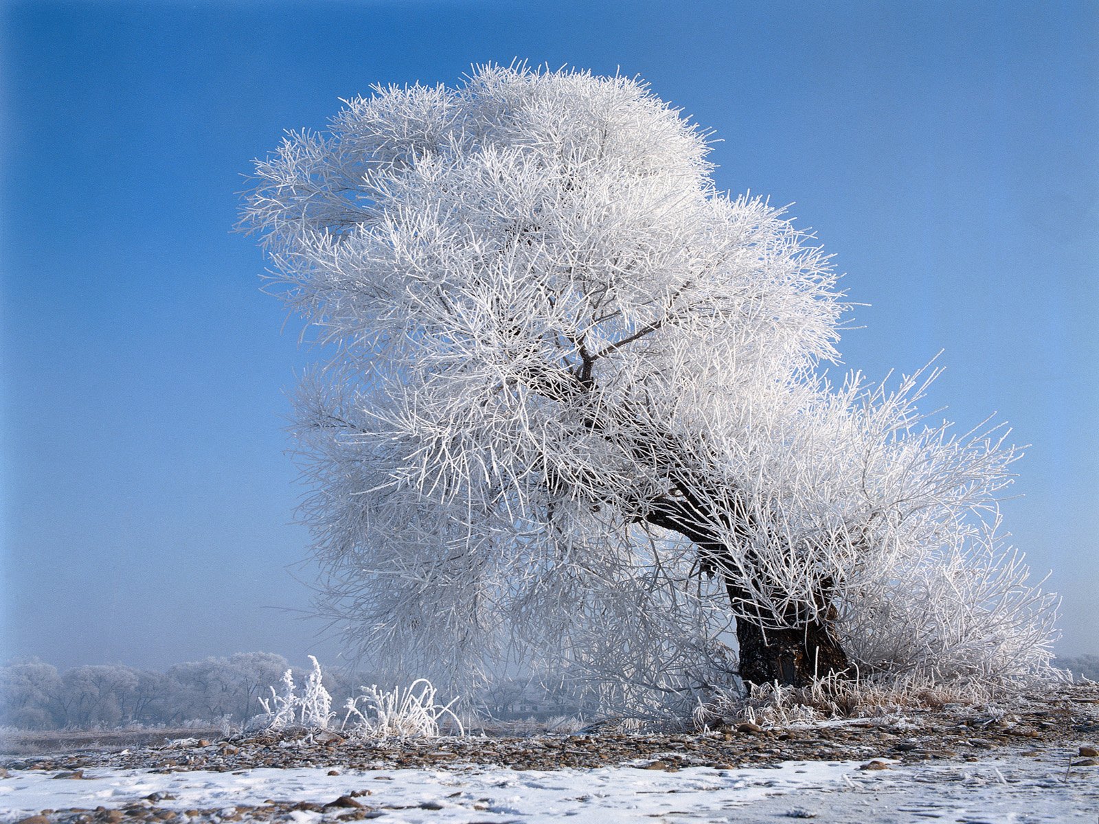 Фото зима в Китае