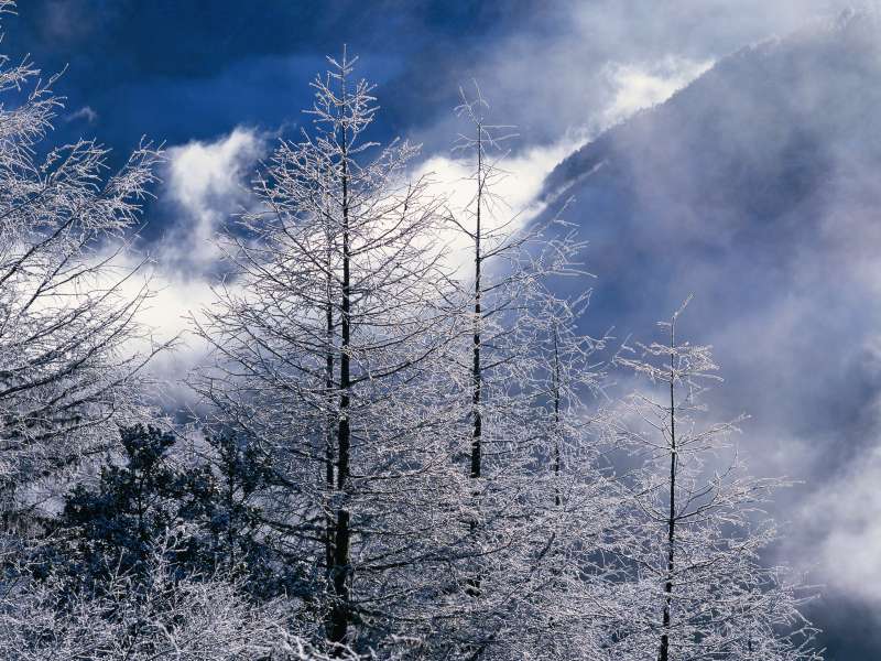 Фото зима пейзаж