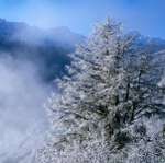 Фото природы зимой